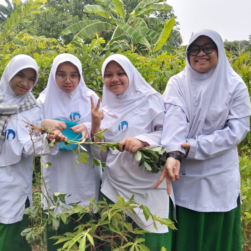 Life Skill: Memanen Kacang